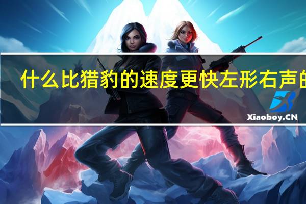 什么比猎豹的速度更快左形右声的字（左形右声的字）