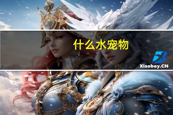 什么水宠物