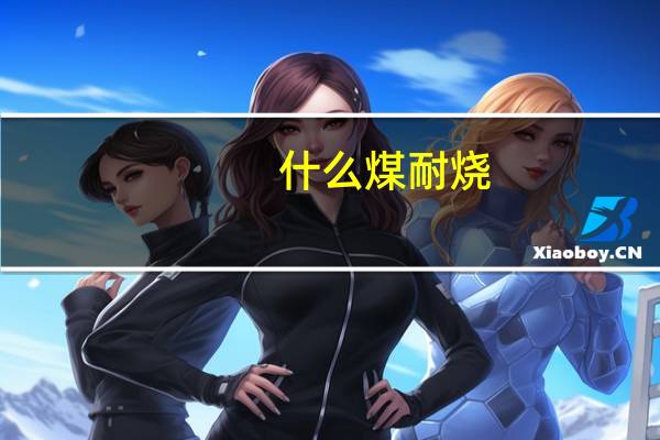 什么煤耐烧