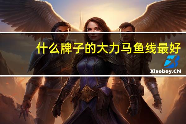 什么牌子的大力马鱼线最好（什么牌子的大力马鱼线好）