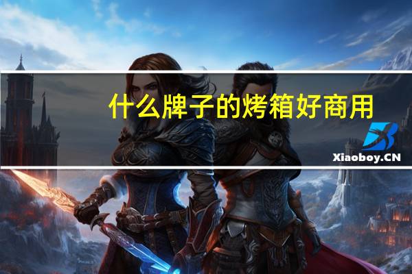 什么牌子的烤箱好商用（什么牌子的烤箱好）