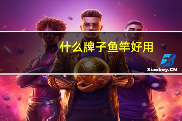 什么牌子鱼竿好用