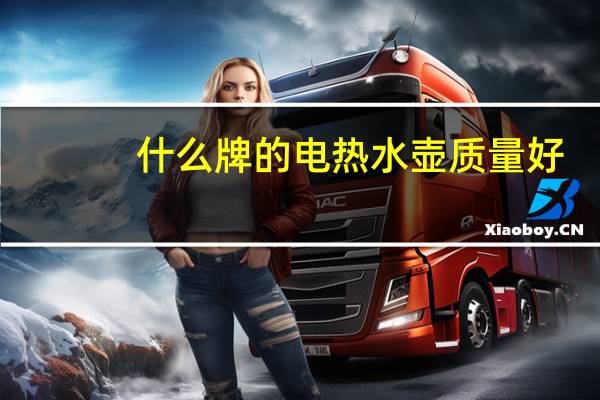 什么牌的电热水壶质量好（什么牌电热水壶好）