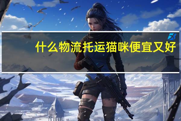 什么物流托运猫咪便宜又好