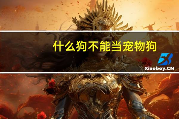 什么狗不能当宠物狗