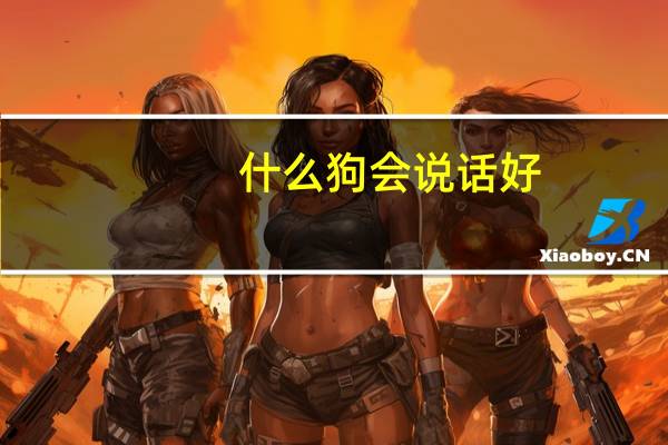 什么狗会说话好(什么狗会说话)
