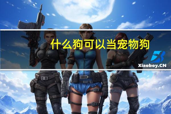 什么狗可以当宠物狗