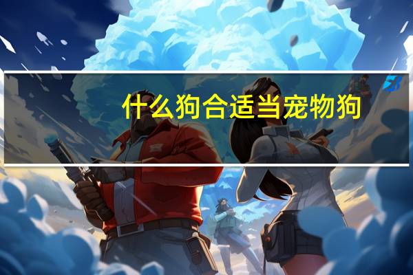 什么狗合适当宠物狗