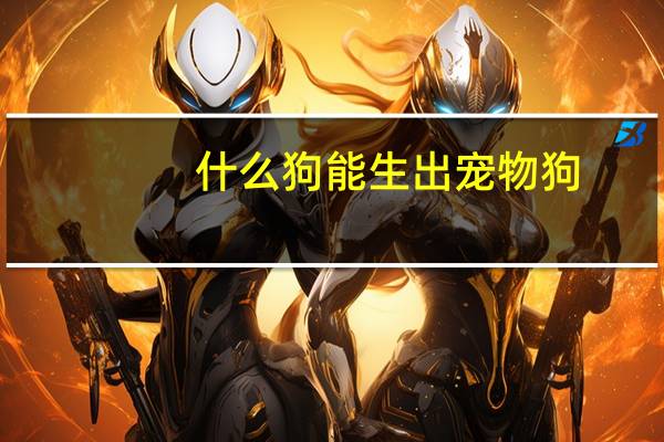 什么狗能生出宠物狗