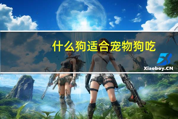 什么狗适合宠物狗吃