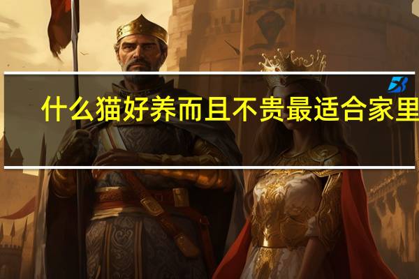 什么猫好养而且不贵最适合家里养（什么猫好养而且不贵）