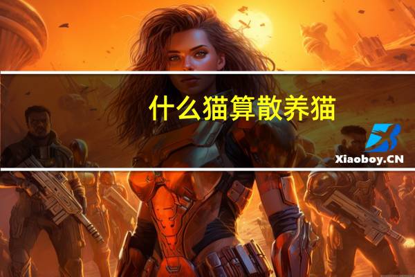 什么猫算散养猫