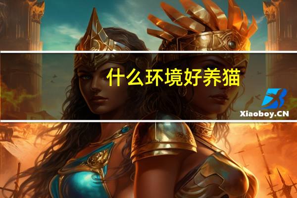 什么环境好养猫