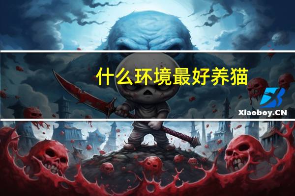 什么环境最好养猫