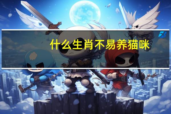 什么生肖不易养猫咪