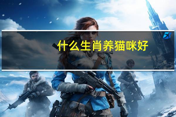 什么生肖养猫咪好