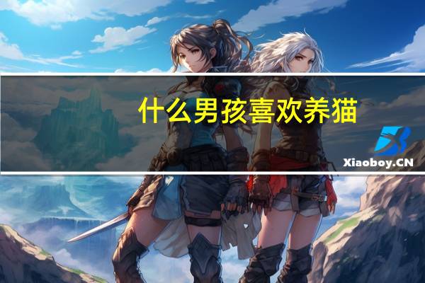 什么男孩喜欢养猫