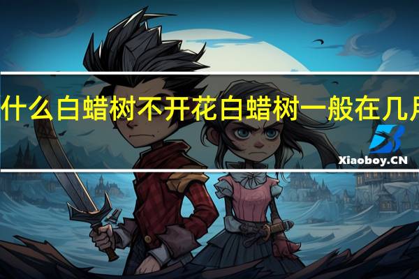 什么白蜡树不开花 白蜡树一般在几月开花