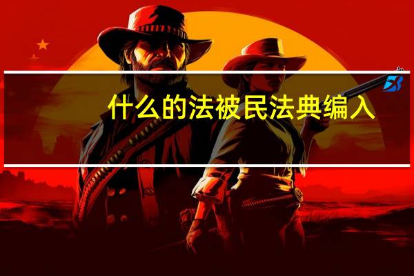什么的法被民法典编入