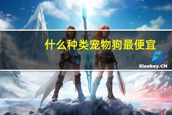 什么种类宠物狗最便宜