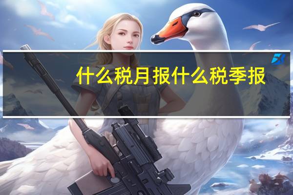 什么税月报什么税季报