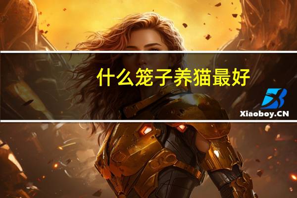 什么笼子养猫最好