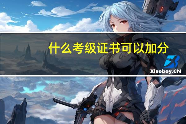 什么考级证书可以加分