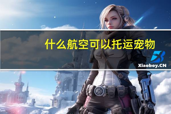 什么航空可以托运宠物