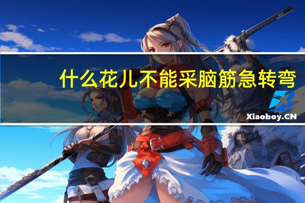 什么花儿不能采脑筋急转弯