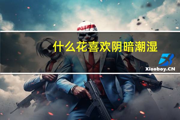 什么花喜欢阴暗潮湿