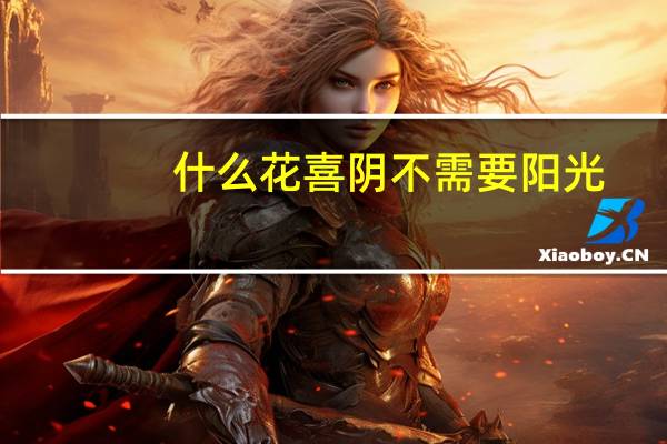什么花喜阴不需要阳光
