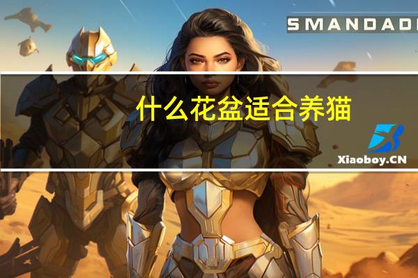 什么花盆适合养猫