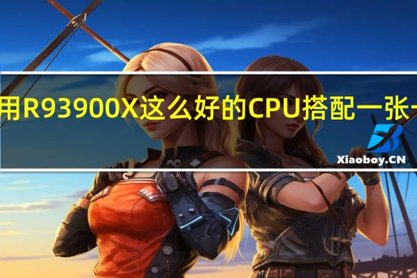 什么要用R93900X这么好的CPU搭配一张一般般的显卡