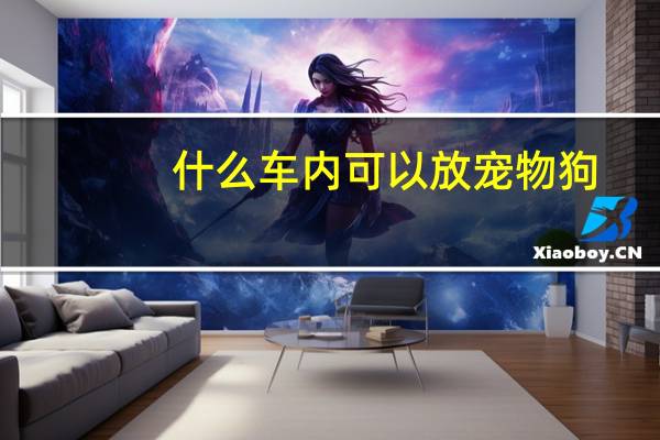 什么车内可以放宠物狗