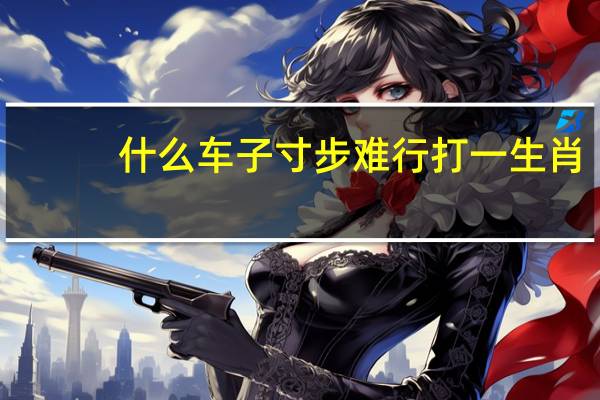 什么车子寸步难行打一生肖（什么车子寸步难行）