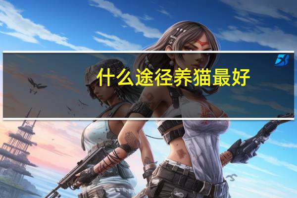 什么途径养猫最好