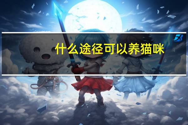 什么途径可以养猫咪