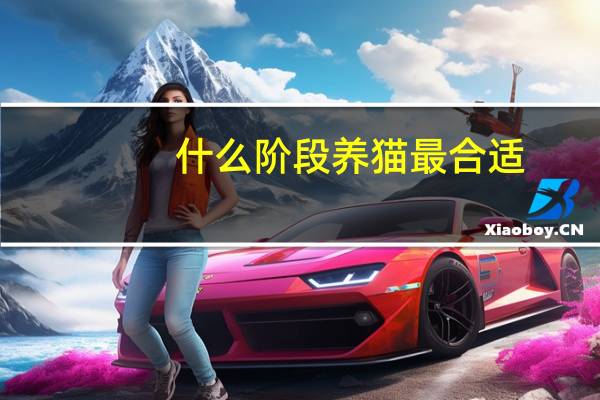 什么阶段养猫最合适