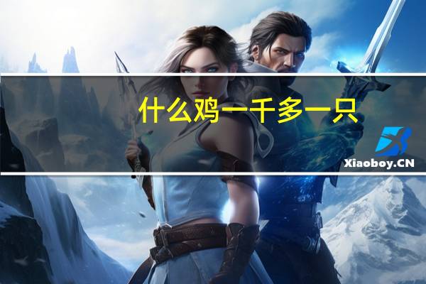 什么鸡一千多一只
