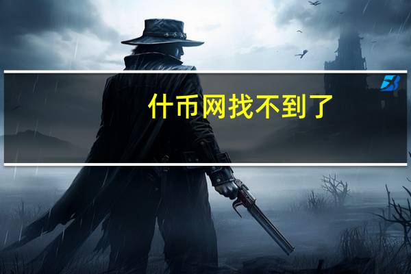 什币网找不到了（什币网）