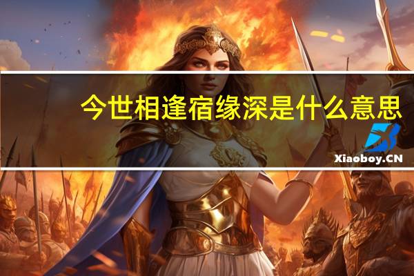 今世相逢宿缘深是什么意思