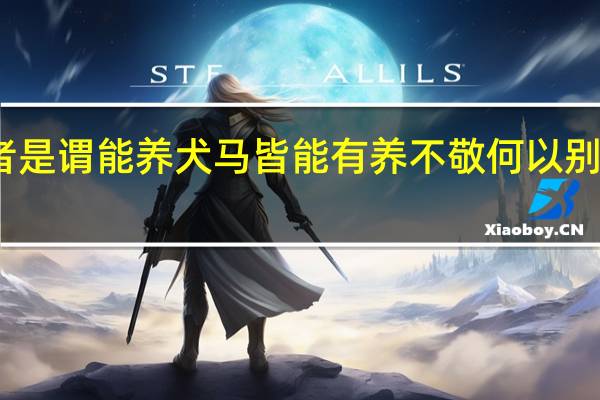 今之孝者是谓能养犬马皆能有养不敬何以别乎是什么意思