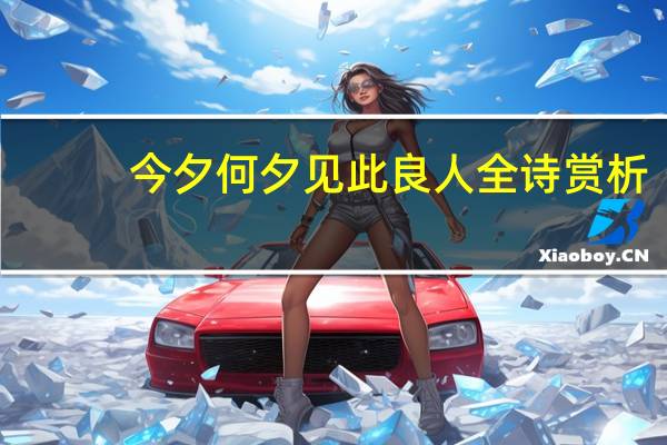 今夕何夕见此良人全诗赏析