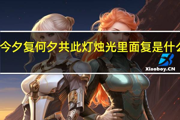 今夕复何夕共此灯烛光里面复是什么意思