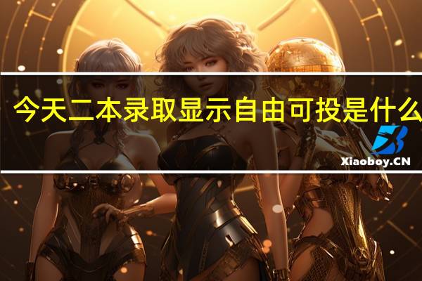 今天二本录取显示自由可投是什么意思