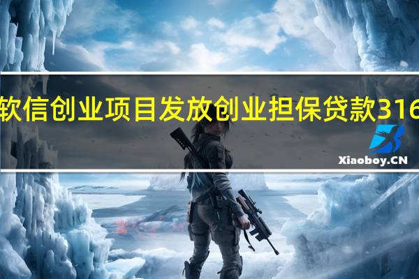 今年以来重庆为软信创业项目发放创业担保贷款3164万元 到底什么情况嘞