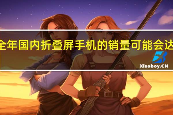 今年全年国内折叠屏手机的销量可能会达到270万台