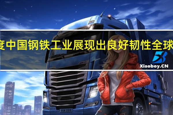 今年前三季度中国钢铁工业展现出良好韧性 全球市场份额持续扩大