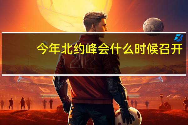 今年北约峰会什么时候召开
