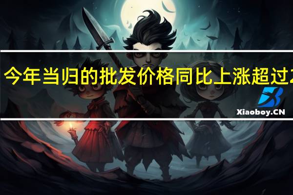 今年当归的批发价格同比上涨超过200%